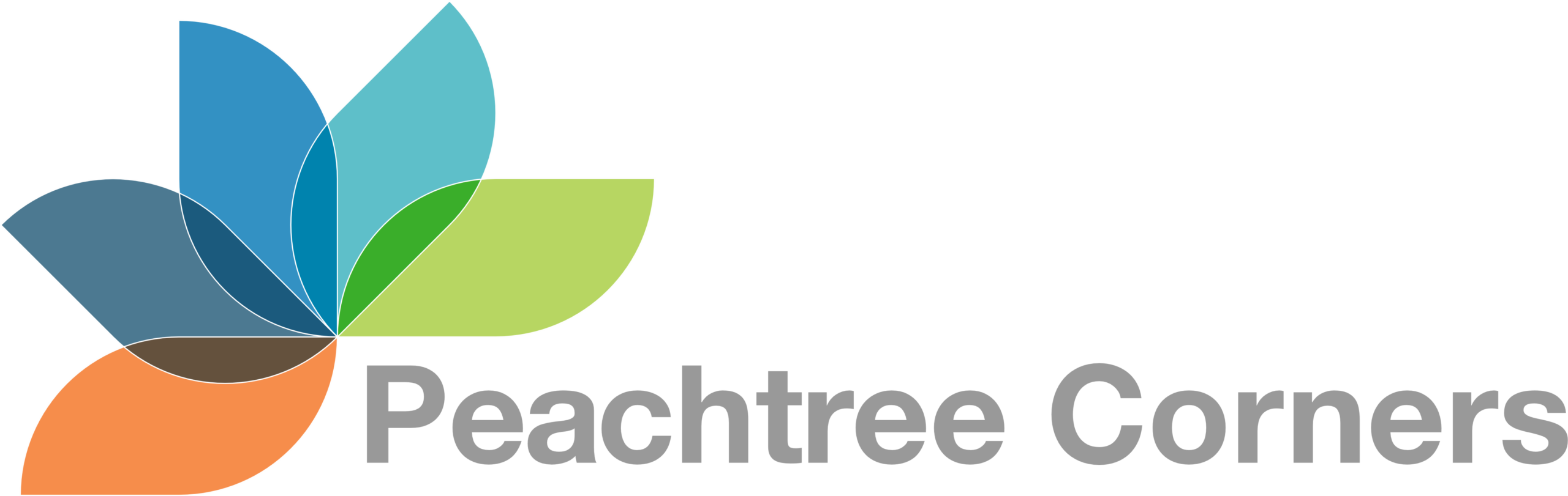 Peachtree-Corners_1 client logo